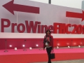 China November 2015, Prowein in Shanghai