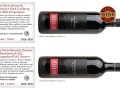 2026-wine-degustation-tschechien-goldberg-titelseite