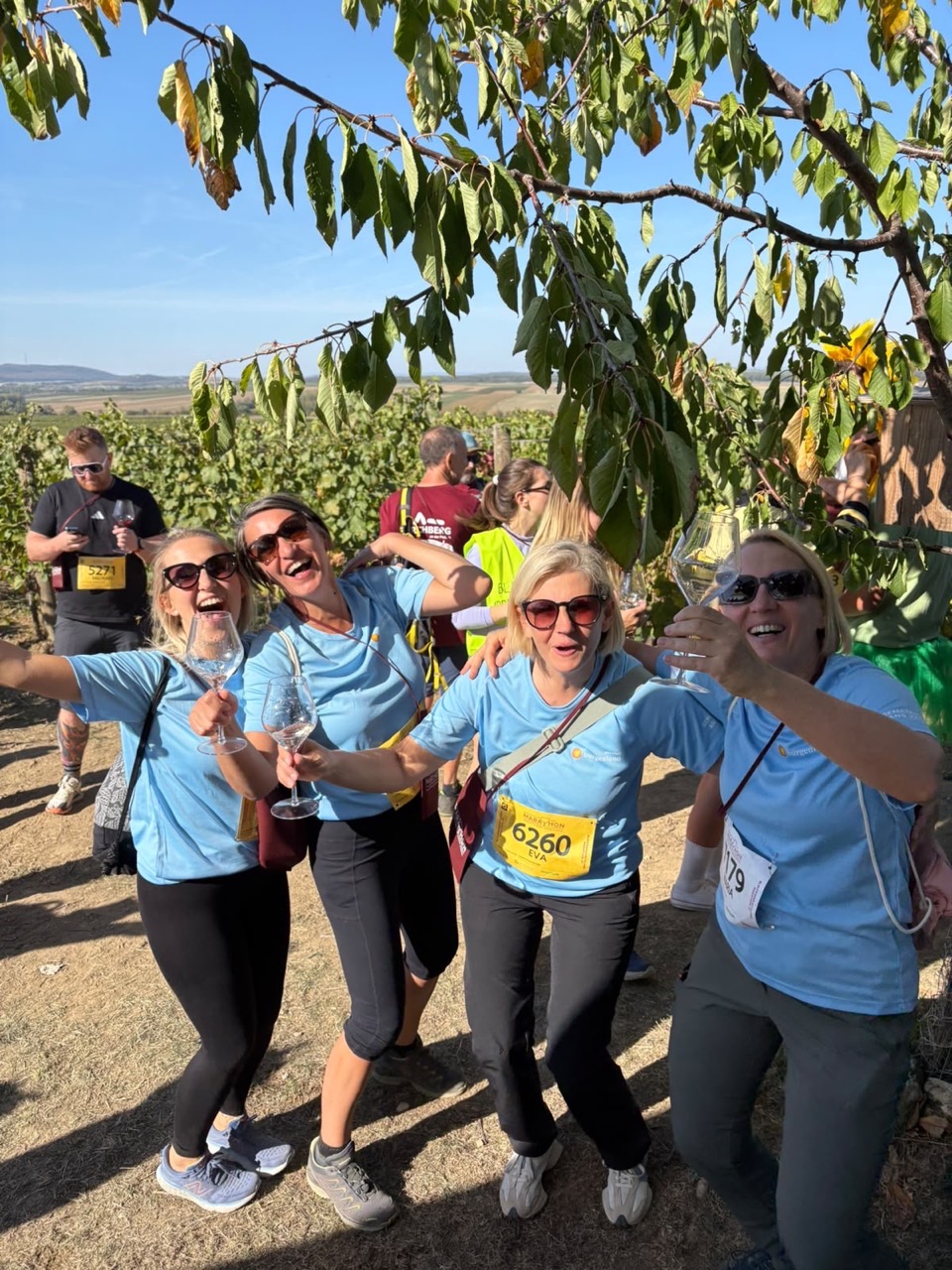 blaufraenkischlandmarathon2026gross-b02e60a7-7a81-437b-85d0-48fa68a6c9bf