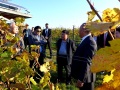 weingut-silvia-heinrich-china-5