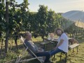 Vinyl-DJ-Picknick am Goldberg - September 2023 - Weingut Silvia Heinrich