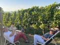 Vinyl-DJ-Picknick am Goldberg - September 2023 - Weingut Silvia Heinrich