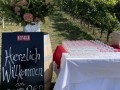 Vinyl-DJ-Picknick am Goldberg - September 2023 - Weingut Silvia Heinrich