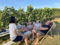 Vinyl-DJ-Picknick am Goldberg - September 2023 - Weingut Silvia Heinrich