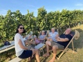 Vinyl-DJ-Picknick am Goldberg - September 2023 - Weingut Silvia Heinrich