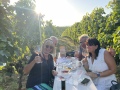 Vinyl-DJ-Picknick am Goldberg - September 2023 - Weingut Silvia Heinrich