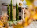 Weinernte 2022 Weingut Silvia Heinrich