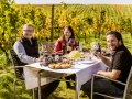 Weinernte 2022 Weingut Silvia Heinrich Ried Goldberg-kurze Pause mit dem Team vom  ORF2