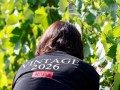 vintage-2026-silvia
