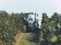 weinlese-sh4