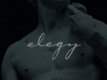 elegy 2009, 2011