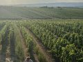 team-weingut-heinrich-picknick-sonnenuntergang.jpg