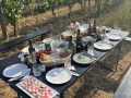 team-weingut-heinrich-picknick-sonnenuntergang.jpg