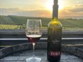 team-weingut-heinrich-picknick-sonnenuntergang.jpg