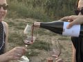 team-weingut-heinrich-picknick-sonnenuntergang.jpg