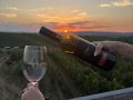 team-weingut-heinrich-picknick-sonnenuntergang.jpg