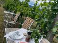 Picknick-am-Goldberg-Weingut-Heinrich-103