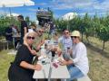 Picknick-am-Goldberg-Weingut-Heinrich-112