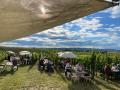 Picknick-am-Goldberg-Weingut-Heinrich-138