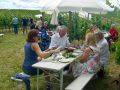 Picknick-am-Goldberg-Weingut-Heinrich-20