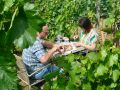 Picknick-am-Goldberg-Weingut-Heinrich-23