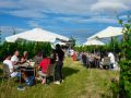 Picknick-am-Goldberg-Weingut-Heinrich-27