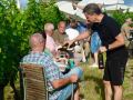 Picknick-am-Goldberg-Weingut-Heinrich-28