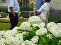 Picknick-am-Goldberg-Weingut-Heinrich-3