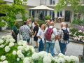 Picknick-am-Goldberg-Weingut-Heinrich-4