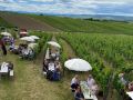 Picknick-am-Goldberg-Weingut-Heinrich-42