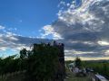 Picknick-am-Goldberg-Weingut-Heinrich-54