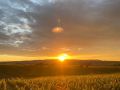 Picknick-am-Goldberg-Weingut-Heinrich-60