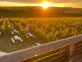 Picknick-am-Goldberg-Weingut-Heinrich-61