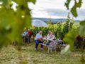 Picknick-am-Goldberg-Weingut-Heinrich-74