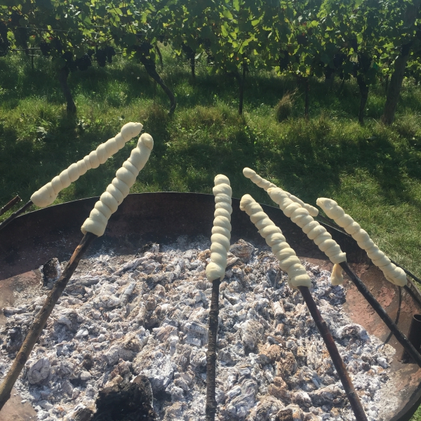 Vinazion zu Besuch im Weingut J. Heinrich im Blaufränkischland, Sept. 2016