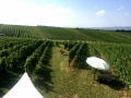 Vinazion zu Besuch im Weingut J. Heinrich im Blaufränkischland, Sept. 2016