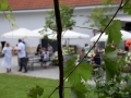 Wine & Soul @Weingut Heinrich 2021