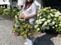 Wine  Soul 2025 - Weingut Silvia Heinrich