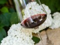 Wine  Soul 2025 - Weingut Silvia Heinrich