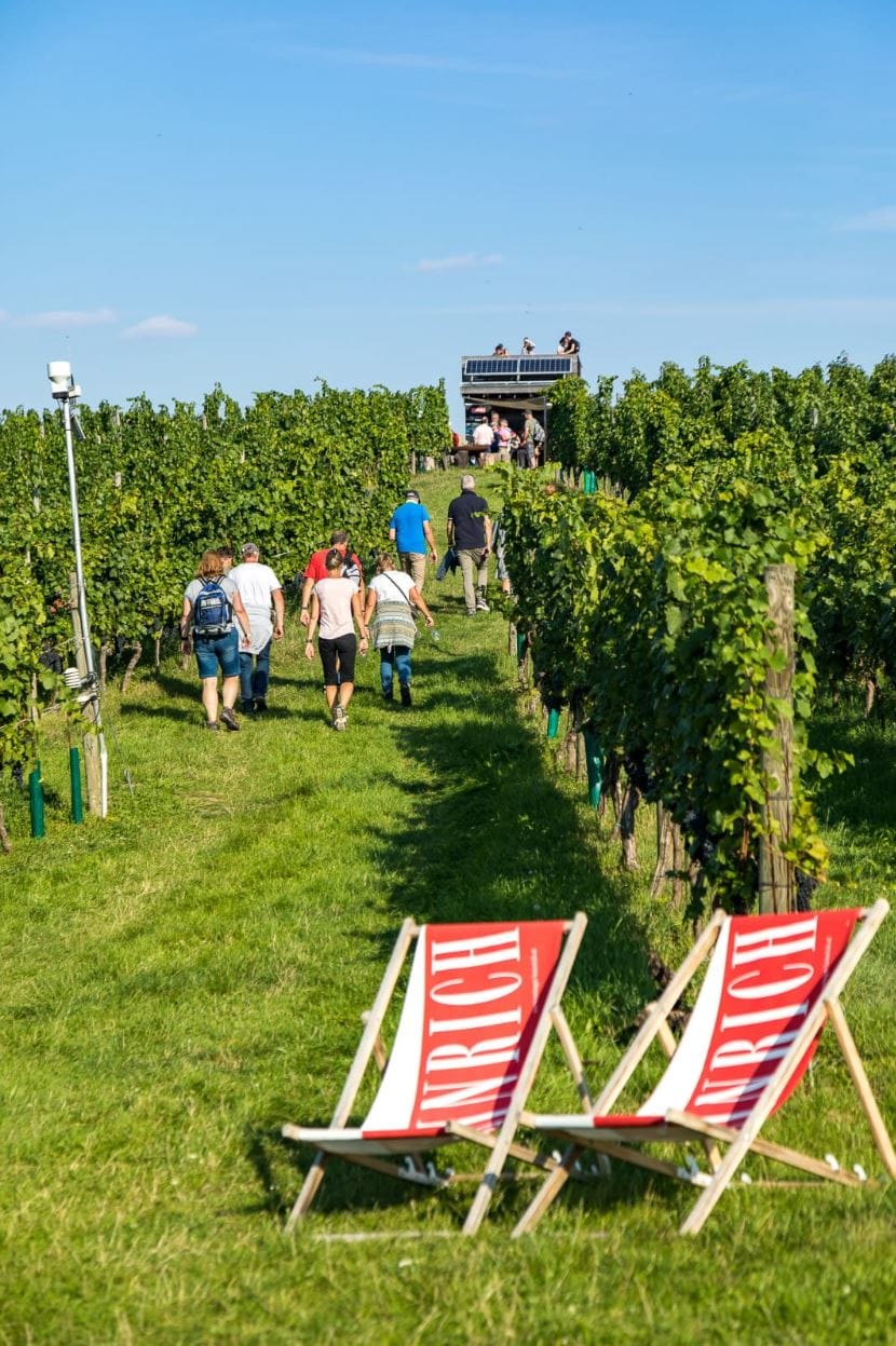 Weingartenwanderung 2020 - Weingut Silvia Heinrich - Villa Goldberg 