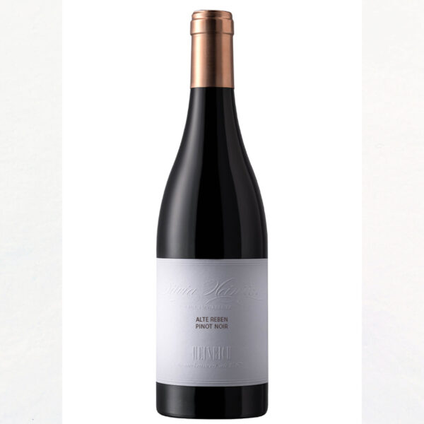 Pinot Noir - Silvia Heinrich
