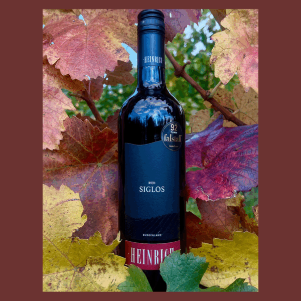 Ried Siglos Falstaff - Silvia Heinrich