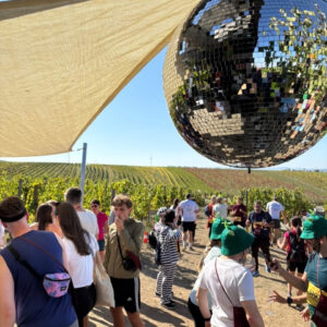 Disco-Kugel über Weinbergen bei einem Fest in Österreich mit vielen Besuchern
