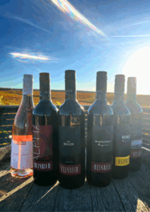 Herbst-Paket Silvia Heinrich