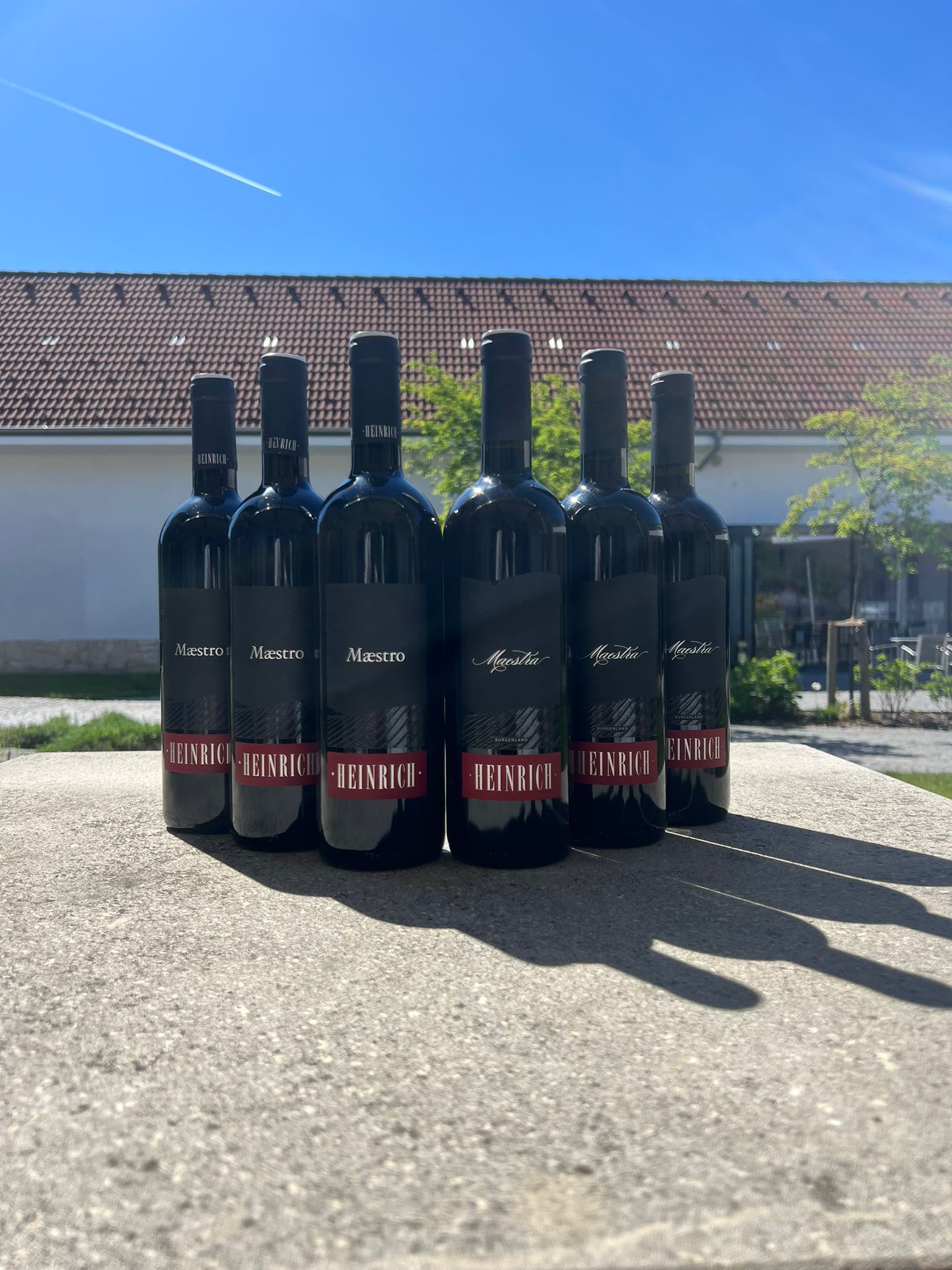 Wein des Monats: 3 Maestra & 3 Maestro