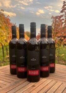 Wein des Monats: Ried Siglos 2024