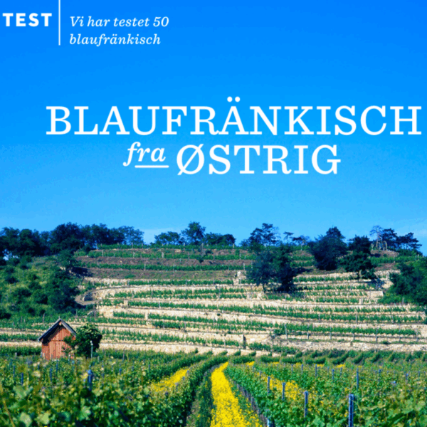 Blaufränkisch-Test Silvia Heinrich