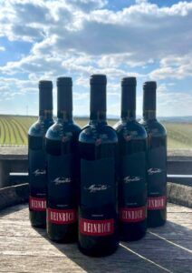 Wein des Monats: Maestra 2020